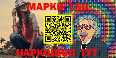 крисы Можга