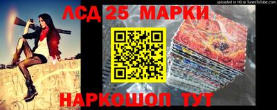 крисы Можга
