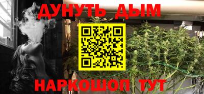 крисы Можга