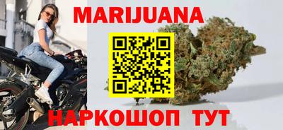 крисы Можга