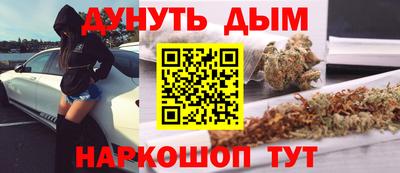 крисы Можга