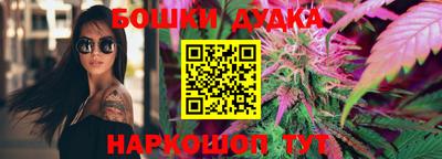 крисы Можга