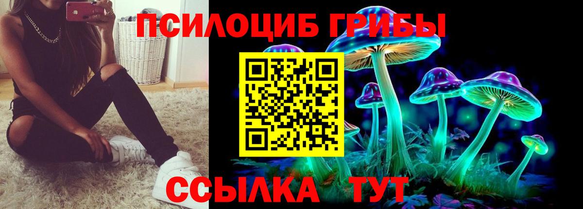Псилоцибиновые грибы Cubensis  Псилоцибиновые грибы мухоморы  Волхов  Вход с VPN 