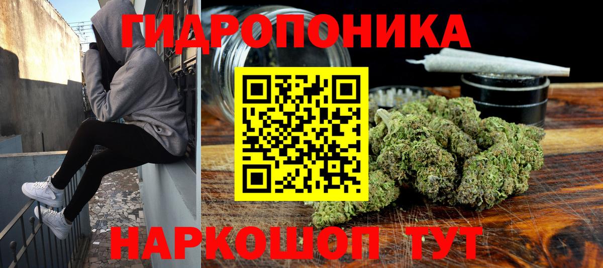 Каннабис семена Волхов